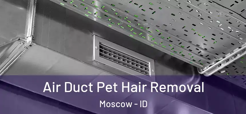  Air Duct Pet Hair Removal Moscow - ID
