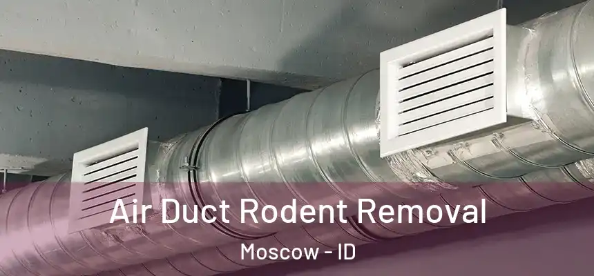 Air Duct Rodent Removal Moscow - ID