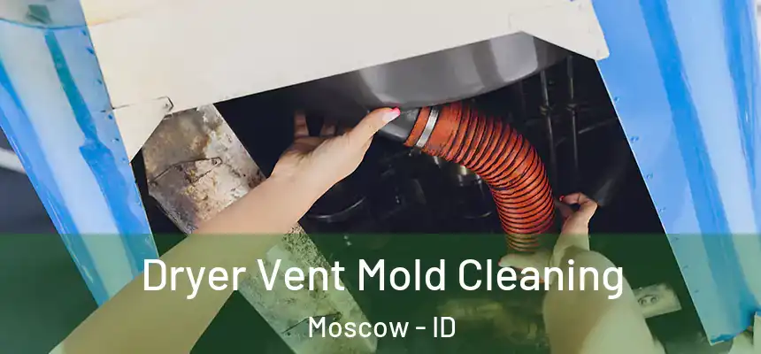  Dryer Vent Mold Cleaning Moscow - ID