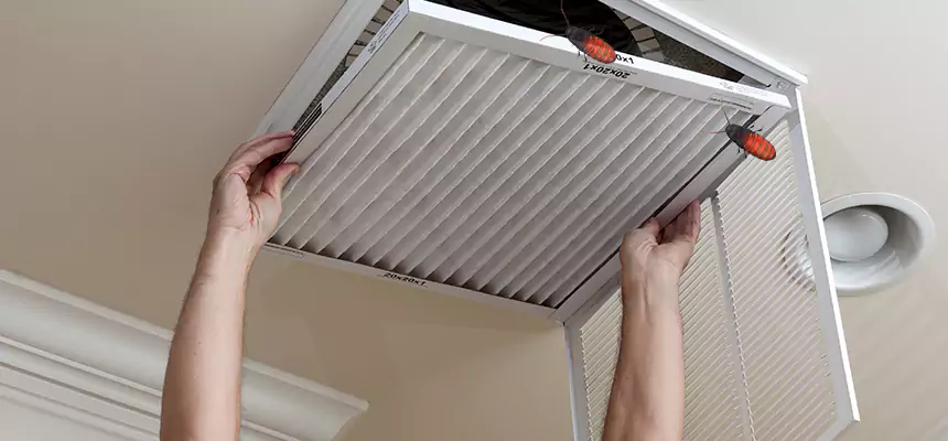 Preventive Cockroach-Proofing for Ducts in Moscow
