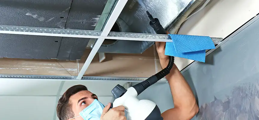 Our Air Duct Rodent Removal Services in Moscow, ID