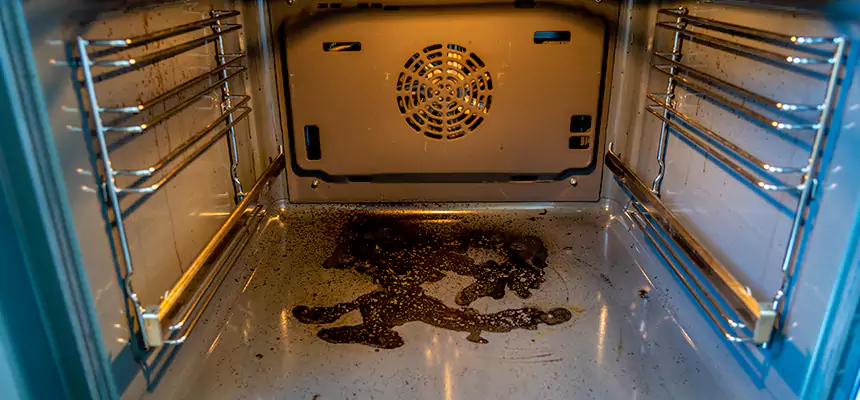 Our Dryer Vent Mold Cleaning Services in Moscow, ID