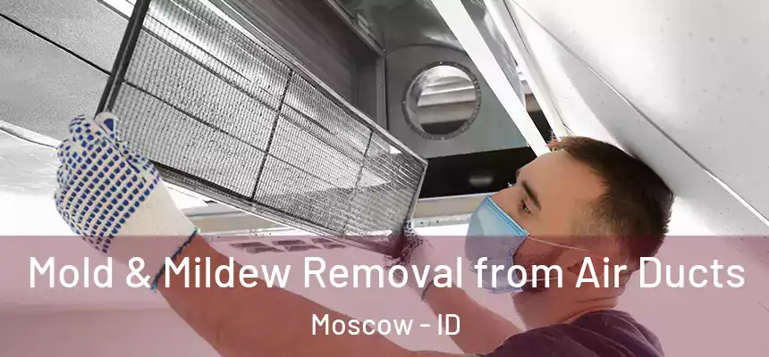 Mold & Mildew Removal from Air Ducts Moscow - ID