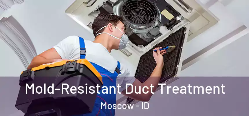 Mold-Resistant Duct Treatment Moscow - ID