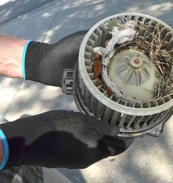 About Air Duct Rat Removal in Moscow, ID