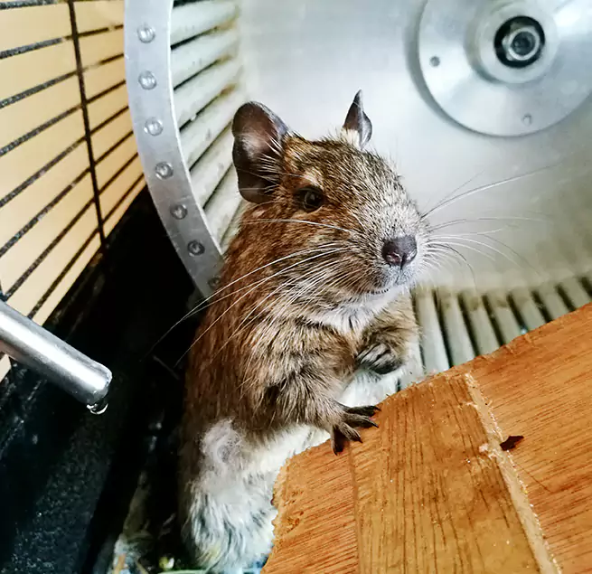 Why Homeowners & Businesses Trust Us Moscow, ID