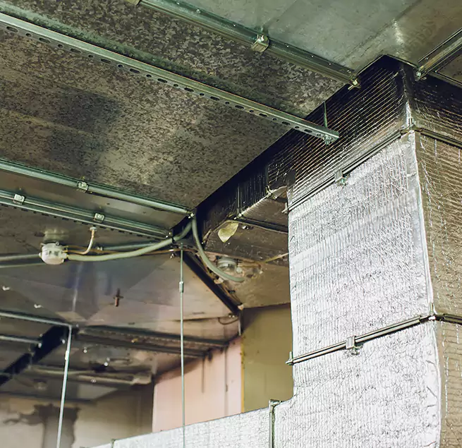 Why Homeowners & Businesses Trust Us in Moscow, ID?